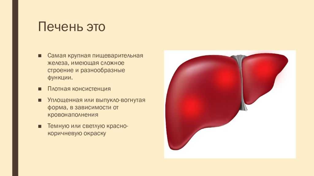 К чему снится печень?