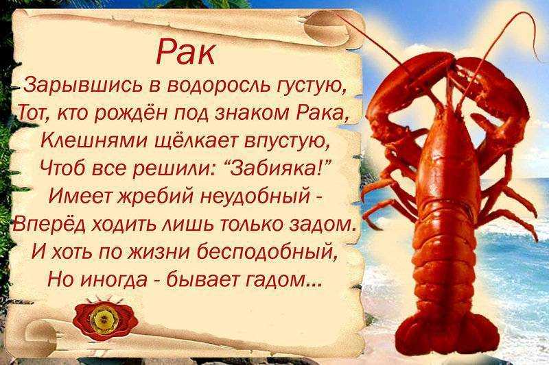 Гороскоп для рака на 2022 год: что ожидает раков в год тигра