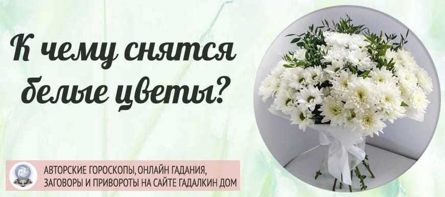 Поливать во сне засохшие цветы в горшках