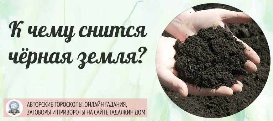 Сонник земля в доме. к чему снится земля в доме видеть во сне - сонник дома солнца