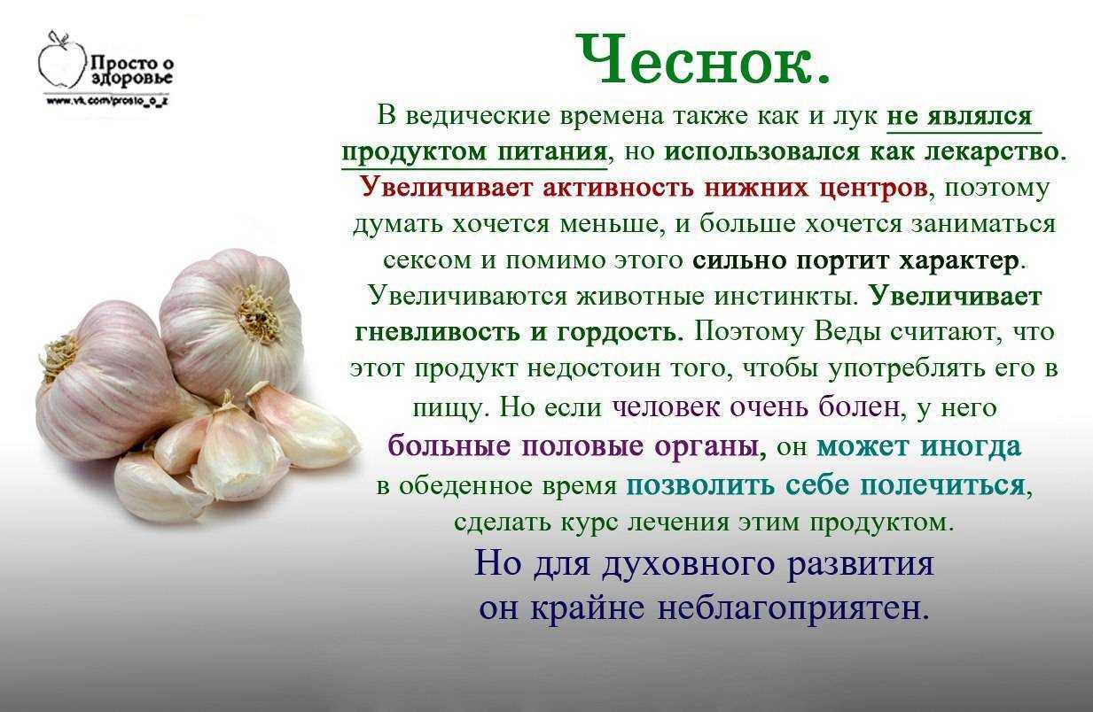 К чему снится чеснок? толкование по 61 соннику