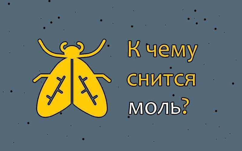Сонник красная моль. к чему снится красная моль видеть во сне - сонник дома солнца