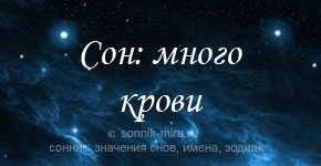 К чему снится кровь во сне: толкование снов. к чему снится своя или чужая кровь во сне женщине? к чему снится кровь во сне беременной?