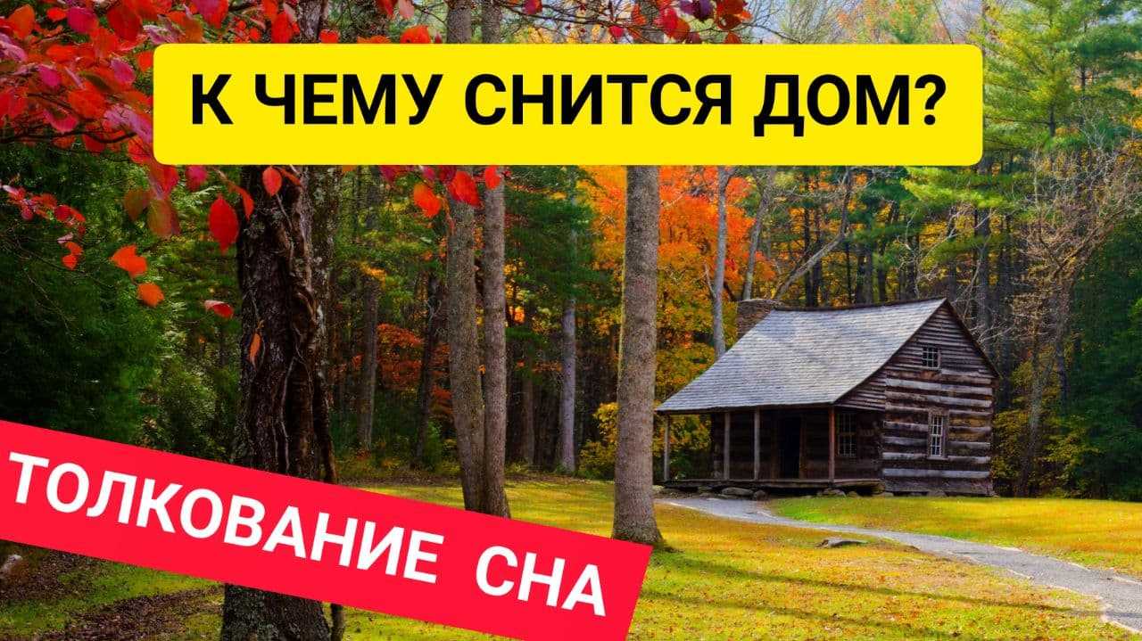 Согласно соннику новая машина к чему снится