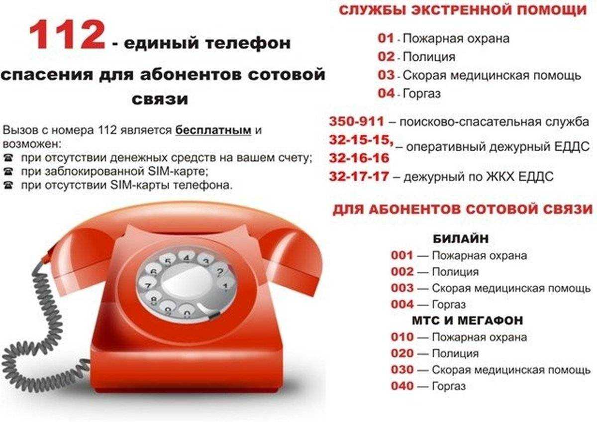 Сонник номер телефона  приснился, к чему снится номер телефона во сне видеть?