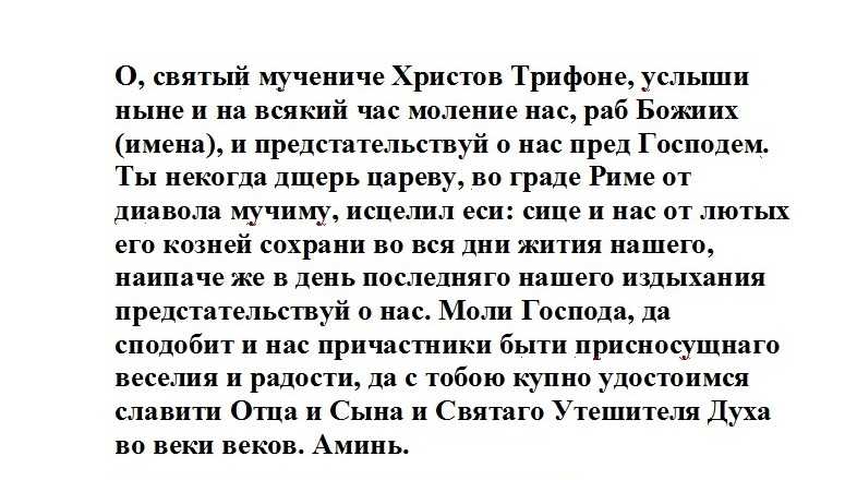 Молитва чтобы избавиться от мышей - моя молитва