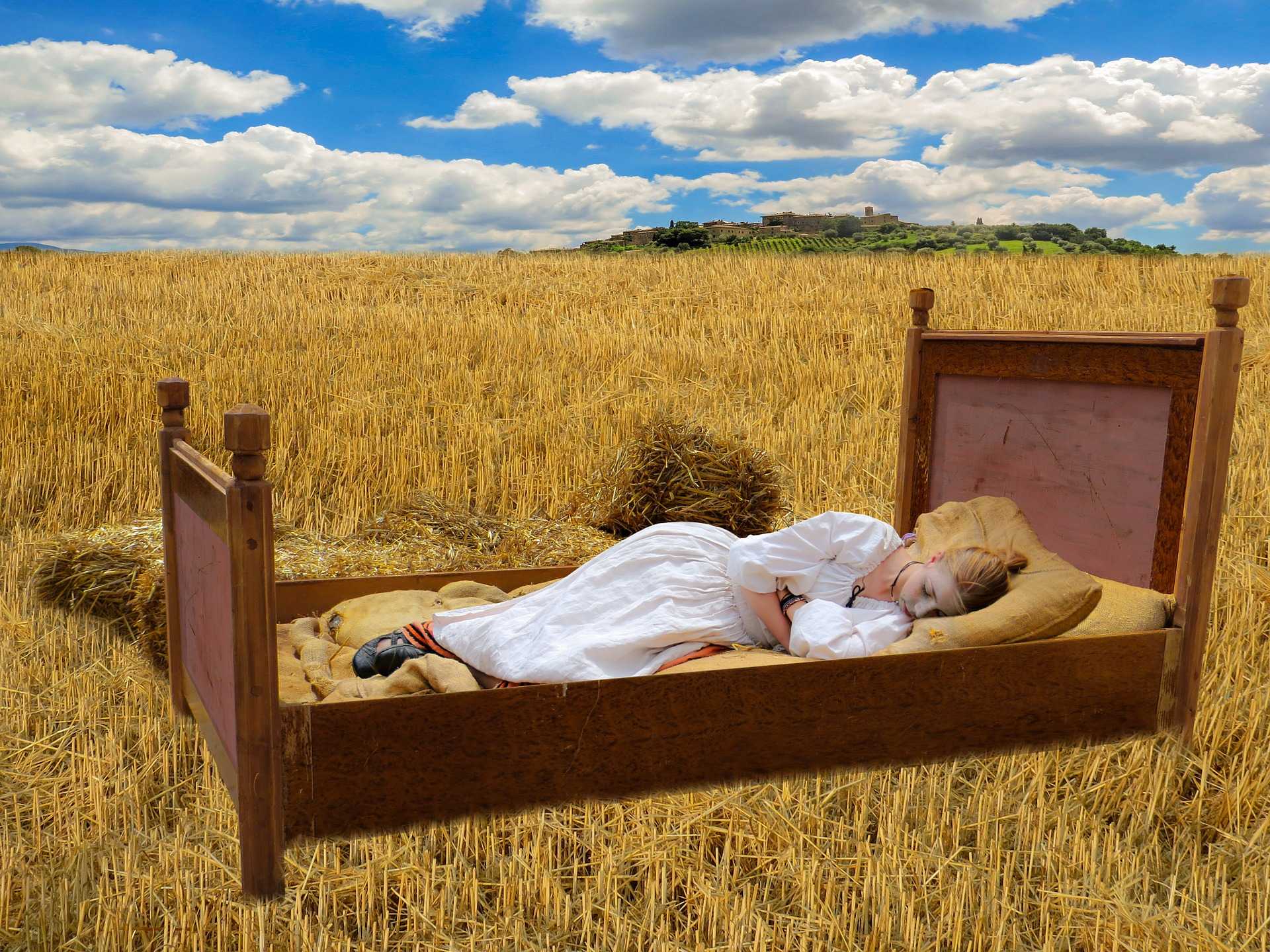 К чему снится  пшеница во сне — по 90 сонникам! если видишь во сне пшеница что значит?