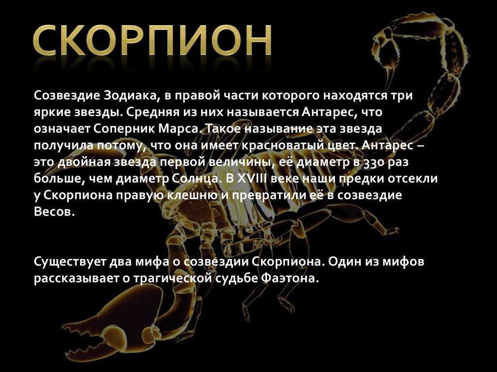 Приснились скорпионы