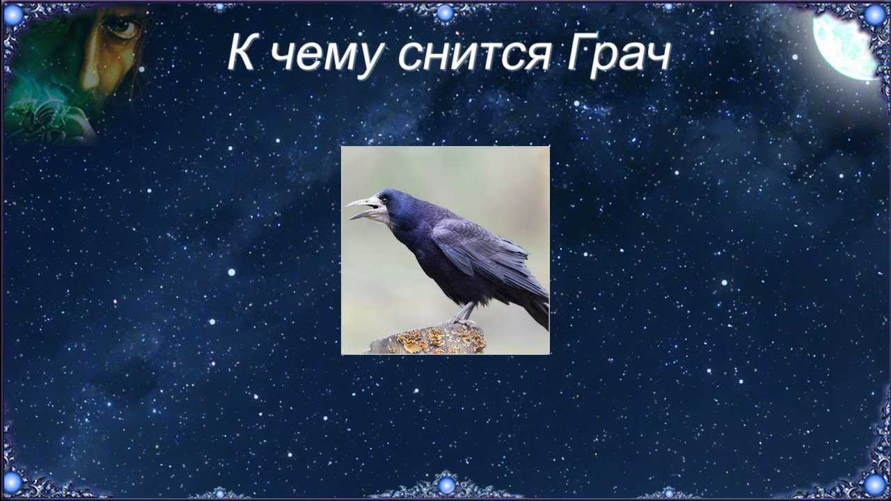 К чему снится воробей - значение сна воробей по соннику