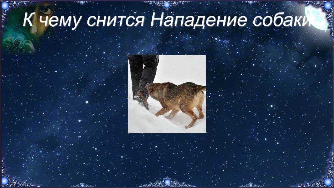 Сонник отбиваться от нападения. к чему снится отбиваться от нападения видеть во сне - сонник дома солнца
