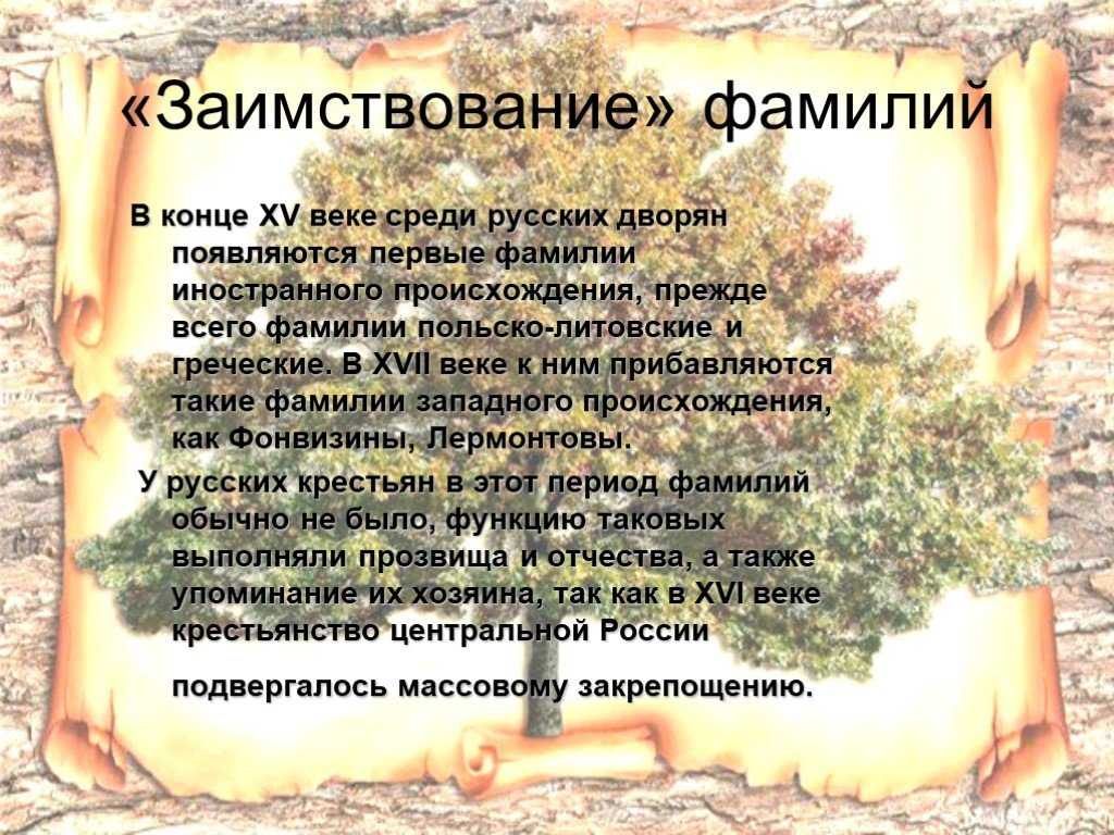История фамилии поляков | my blog