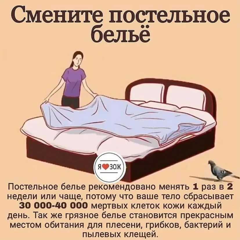 К чему снится пыль: в углах квартиры и на мебели, мало и много, толкования из разных сонников