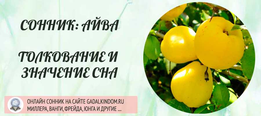 Сонник айва. к чему снится, что означает сон, в котором приснилось айва