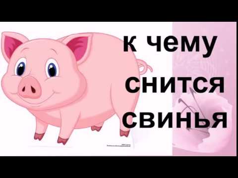 К чему снится резать свинью: почему приснился сон о поросёнке или свиной туше
