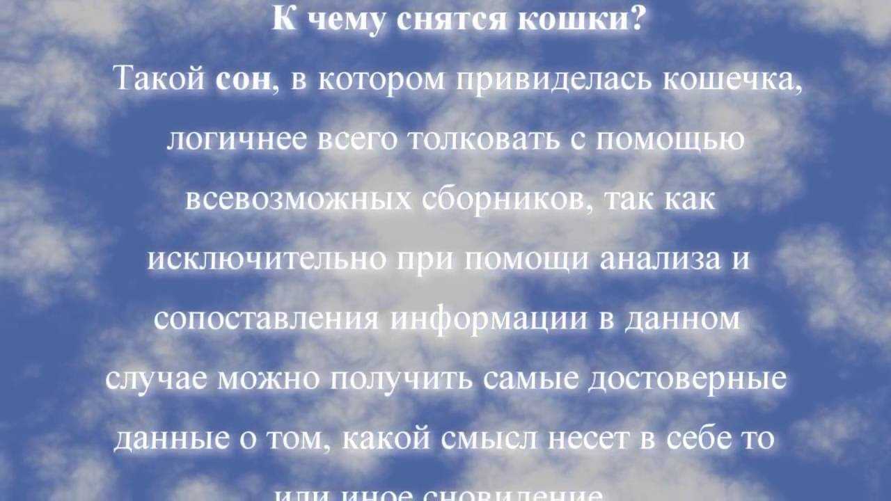 К чему снится тюлень, морской котик, лев: толкование по сонникам для мужчин и девушек