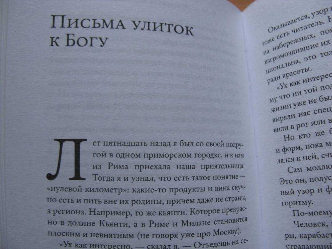 К чему снится собака по сонникам: толкование снов