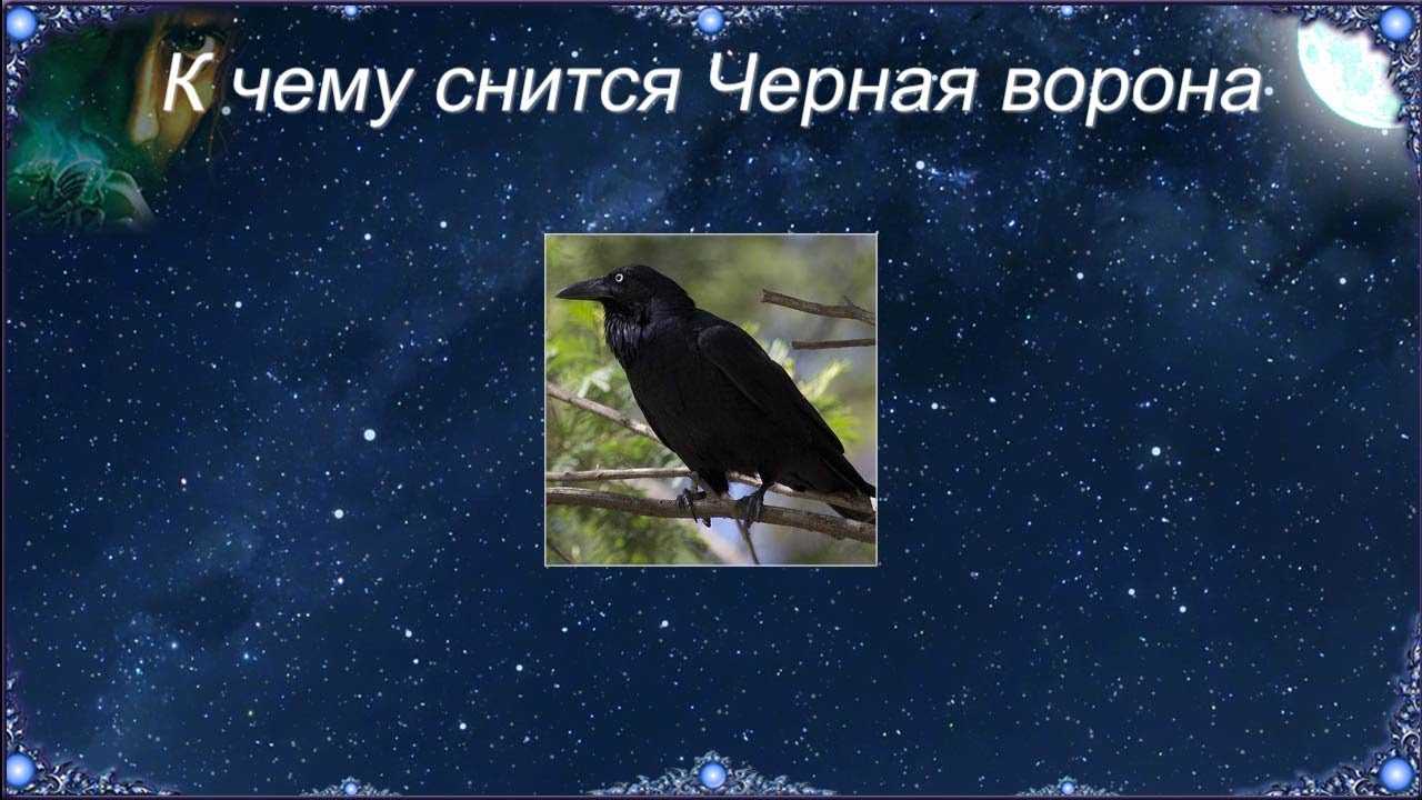 К чему снится ворона?