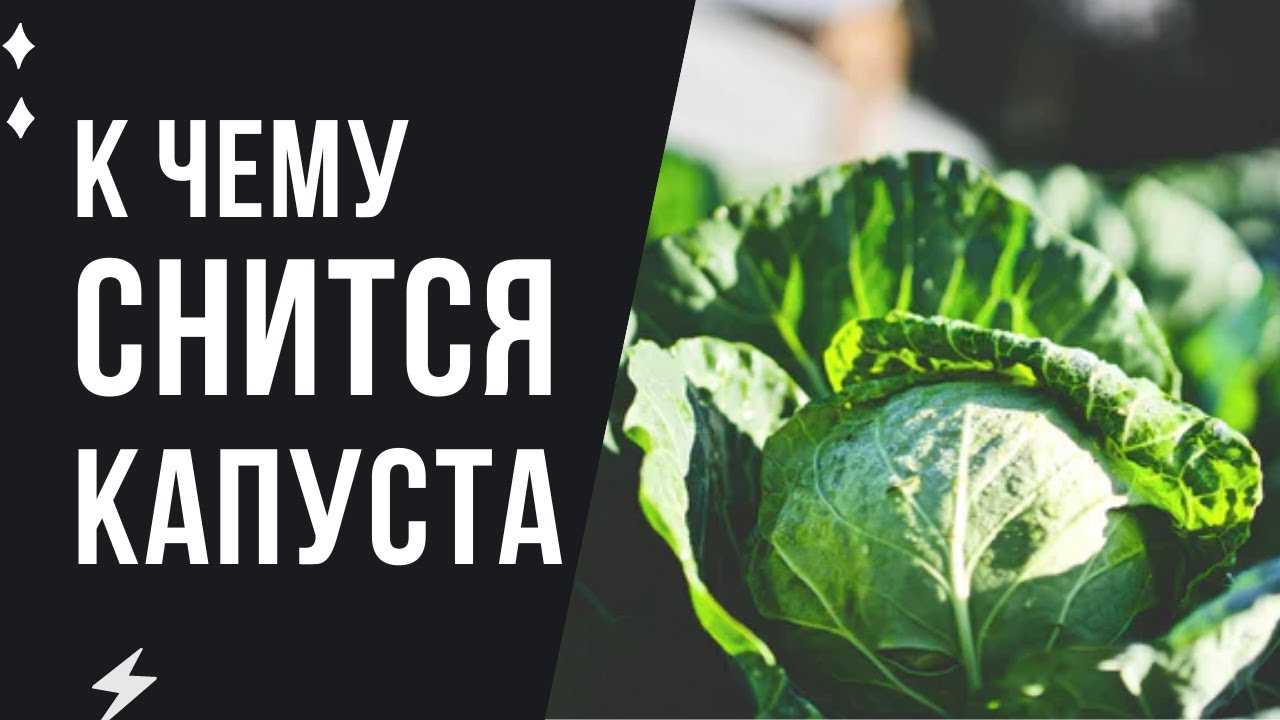 К чему снится капуста — толкования из разных сонников