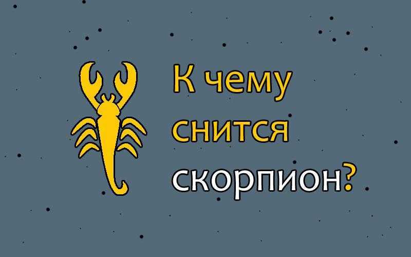 Сонник красный скорпион. к чему снится красный скорпион видеть во сне - сонник дома солнца
