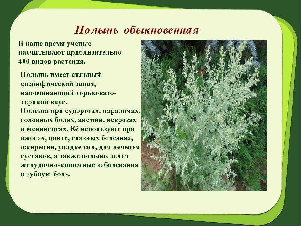 К чему снится  полоть во сне — по 90 сонникам! если видишь во сне полоть что значит?