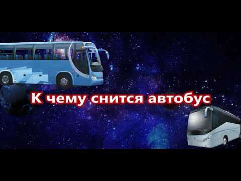 Приснился автобус во сне - значение, сонник, ехать, садиться, ждать