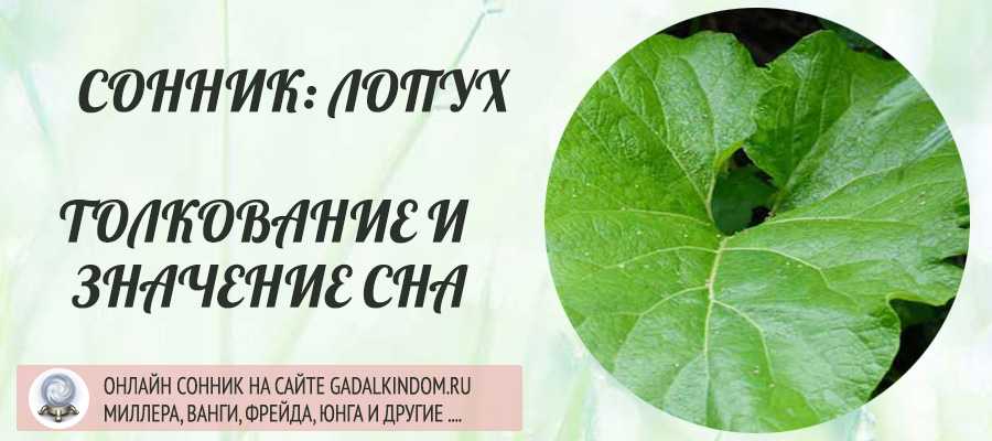 К чему снится репейник по соннику? видеть во сне репейник - толкование снов.