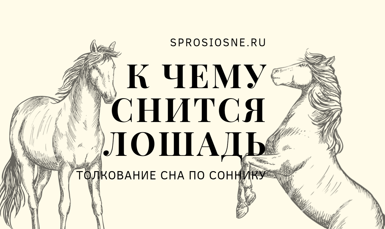 К чему снится лошадь женщине: значение и толкование сна - tolksnov.ru