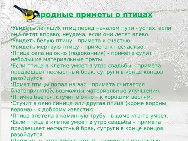 Птица залетевшая в квартиру