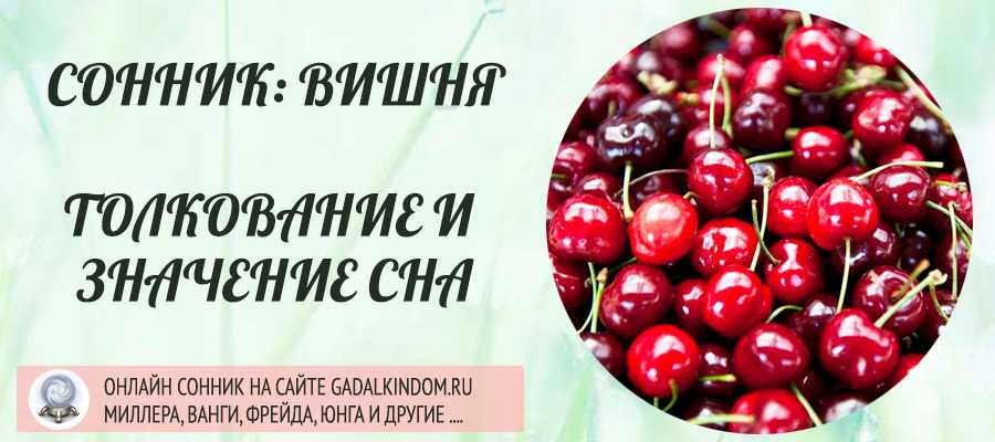 Снятся черешни - сонник разъясняет, к чему видеть приятный сон.