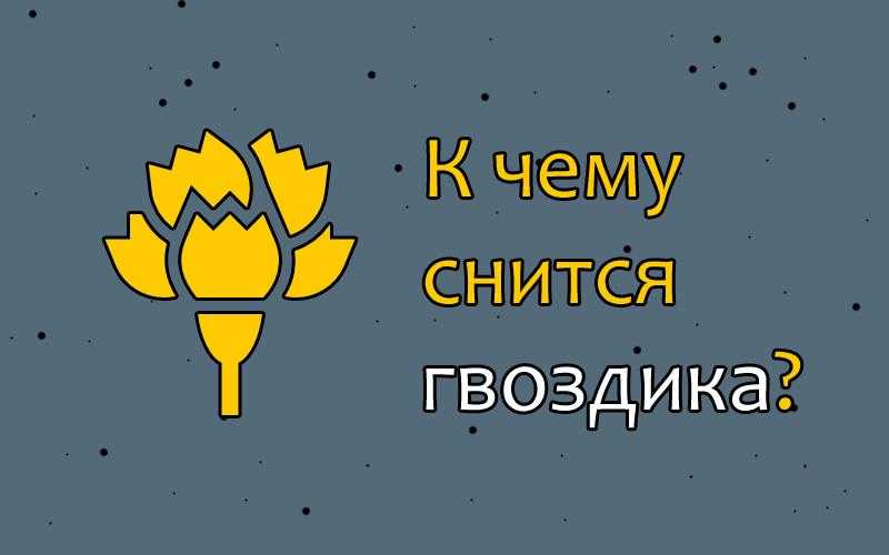 К чему снится гвоздика. видеть во сне гвоздика - сонник дома солнца