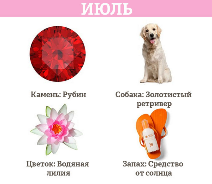 Выбираем цветы для женщины льва