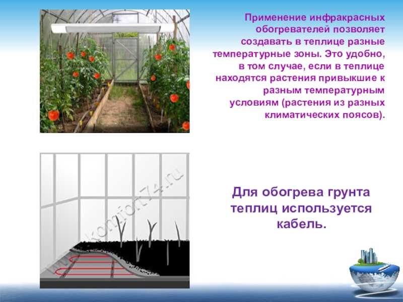 Сонник теплица цветов. к чему снится теплица цветов видеть во сне - сонник дома солнца