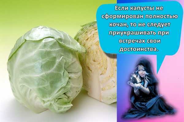 К чему снится квашеная капуста: сонник