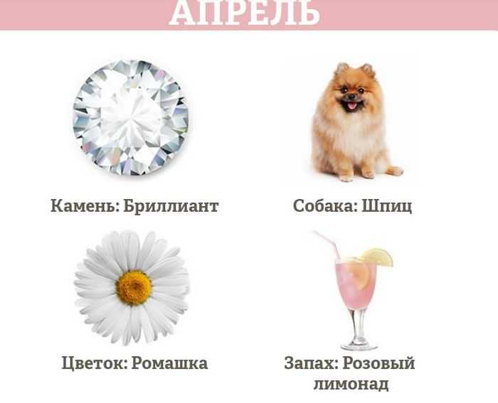Растения подходящие знаку зодиаку лев по гороскопу