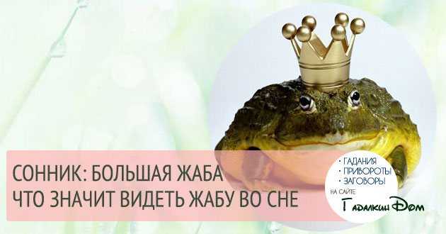 Есть лягушку