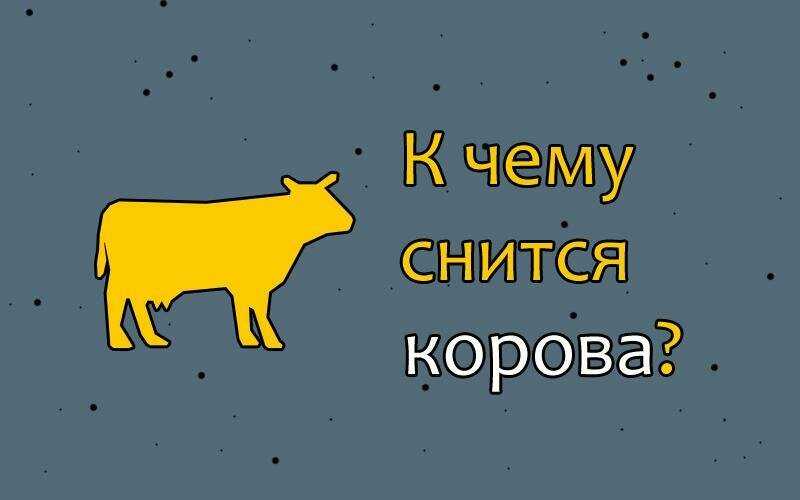 Приснилось стадо коров и быков: пасутся или нападают, много животных, трактовка для женщин и мужчин