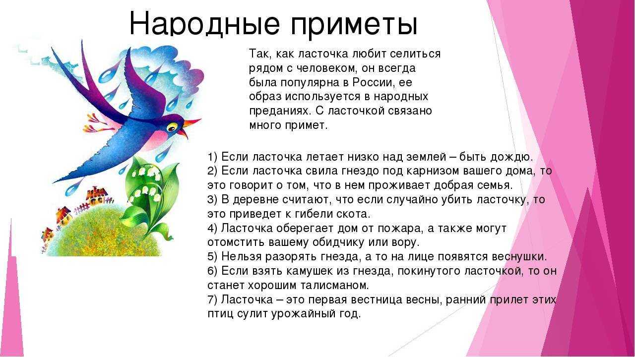 Сонник: к чему снятся ласточки