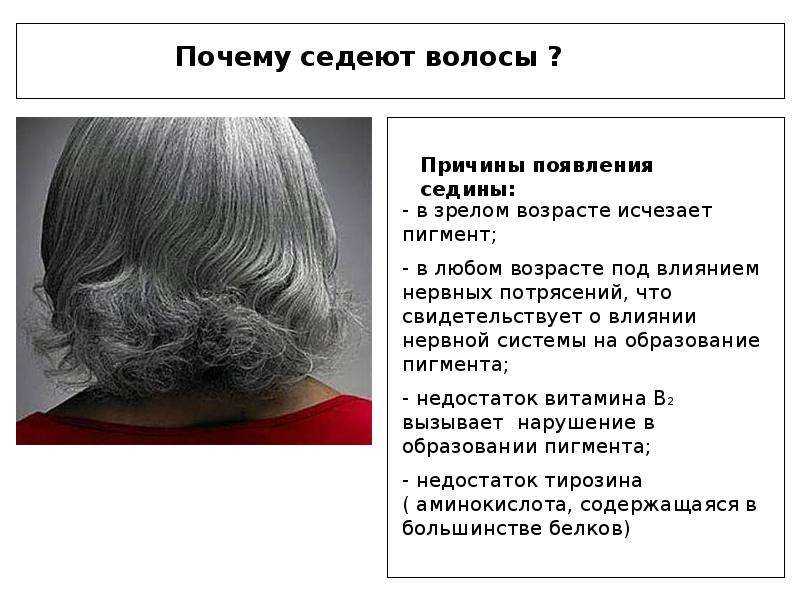 К чему снятся седые волосы? сонник - приснились седые волосы.