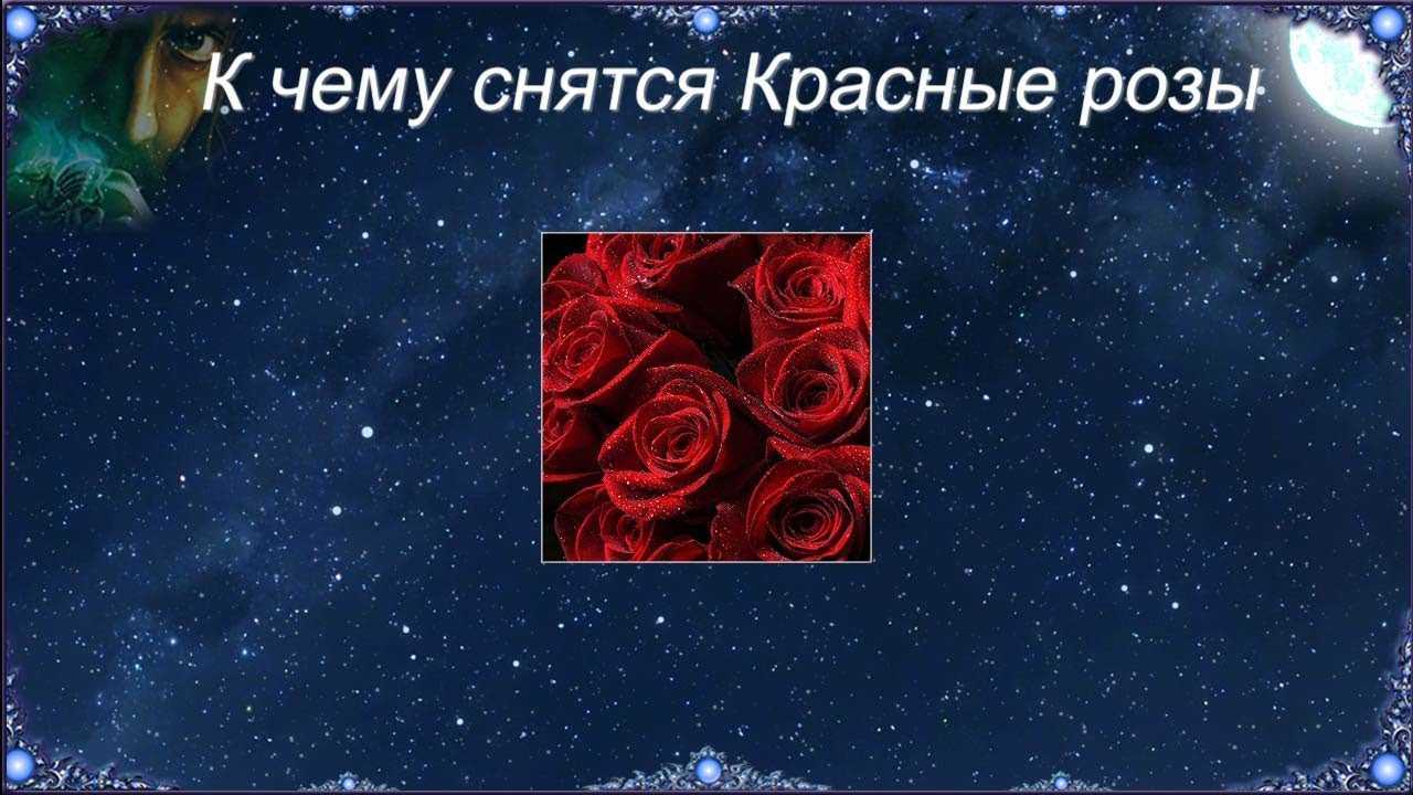 К чему снятся розы: толкование сновидений - tolksnov.ru