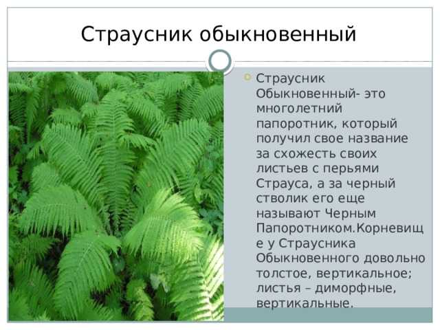 Сонник парад планет к чему снится парад планет во сне