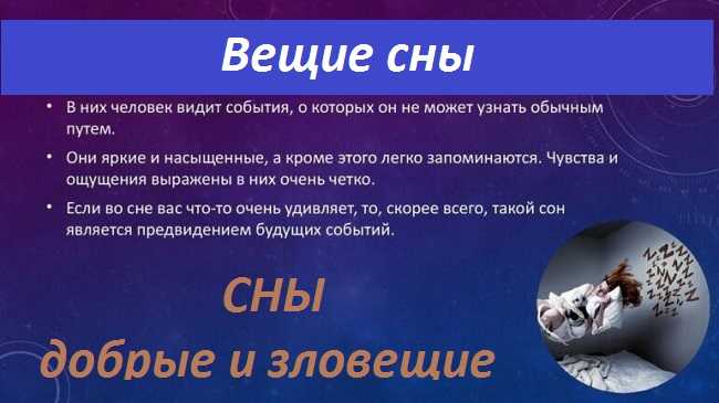 Сон про акулу, к чему снится, трактовки разных сонников