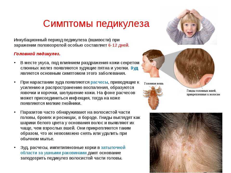 Сонник лишай. к чему снится, что означает сон, в котором приснилось лишай