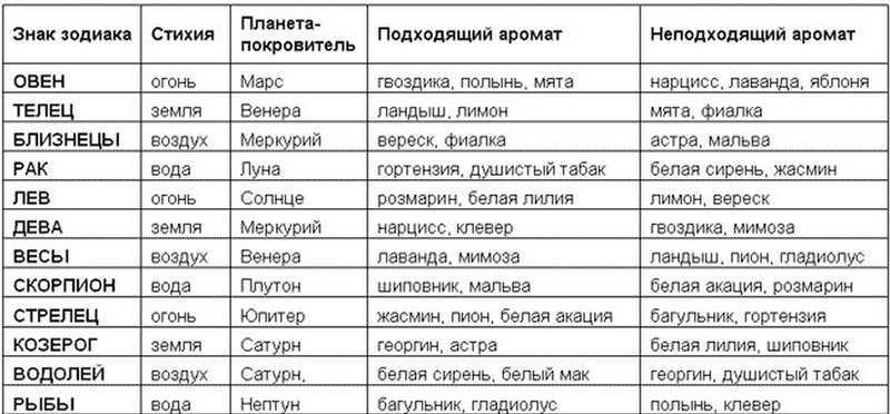 К чему снятся утки: живые и мертвые, на воде и в воздухе, что означает по соннику охотиться и поймать птицу