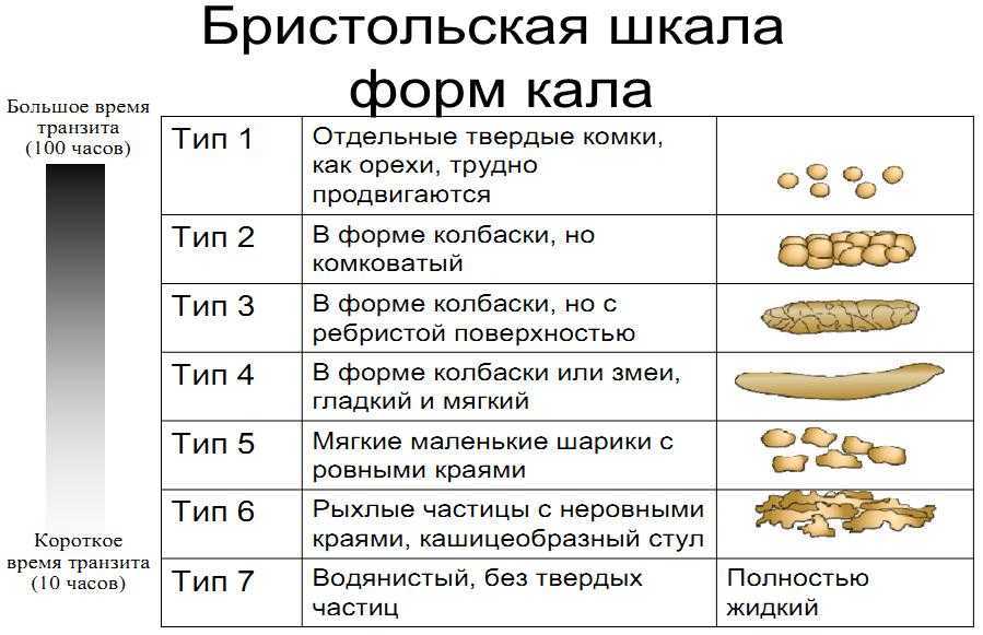 К чему снится кал