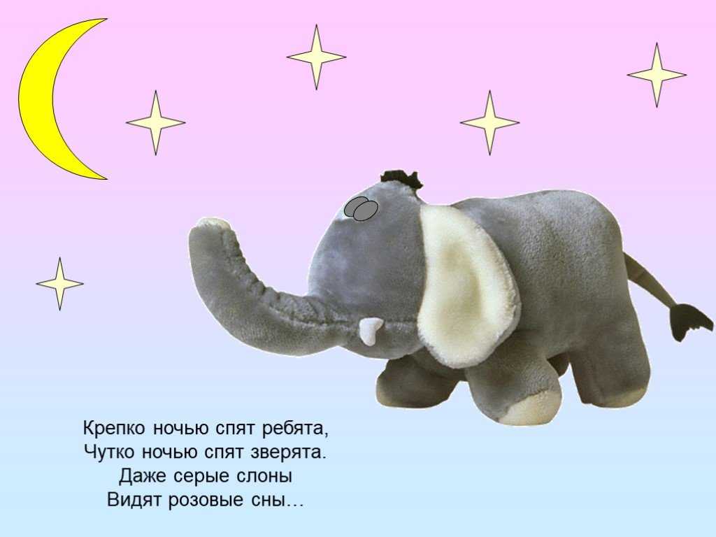 К чему снится женщине слон — подробное толкование