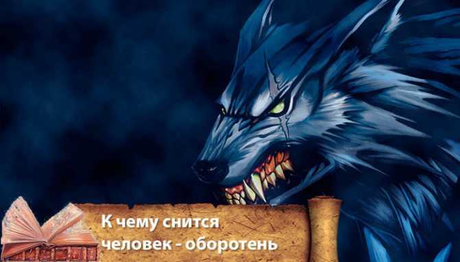 К чему снятся волки во сне для женщины: замужней, незамужней, девушке, беременной – толкование по сонникам