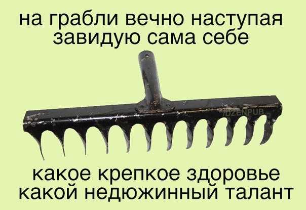 К чему снятся железные или деревянные грабли — 55 толкований из разных сонников