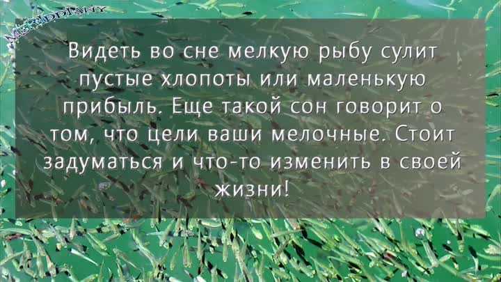 Поймать рыбу во сне мужчине: большую, маленькую, живую, дохлую, на удочку, в сети, много, с икрой, зимой, летом