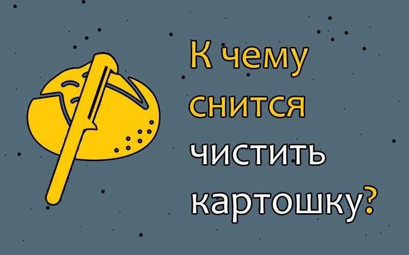 5 толкователей отвечают, к чему снятся грибы женщине