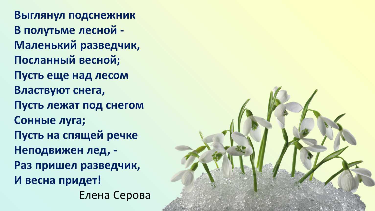 Сонник поляна подснежников. к чему снится поляна подснежников видеть во сне - сонник дома солнца